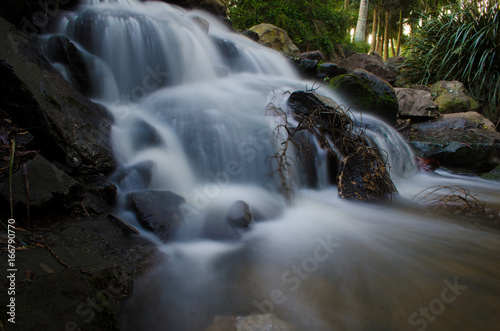 Waterfall forest scene