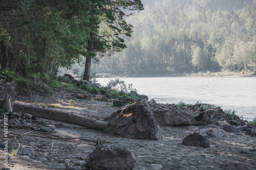 Beautiful stone bank of a mountain river on the Altai.