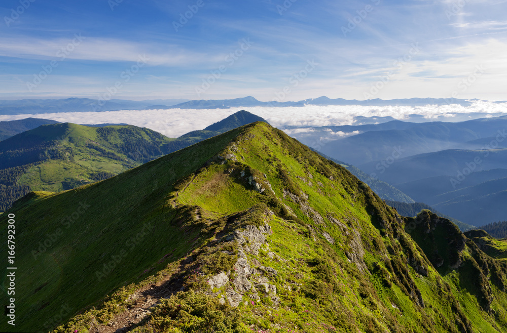 Fototapeta premium Carpathian Mountains in the morning.