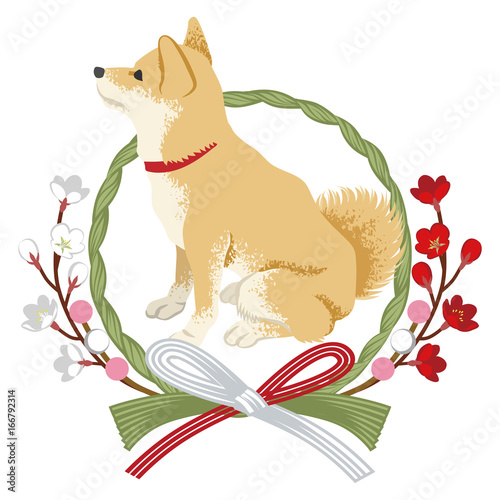 柴犬としめ縄飾り　横向き -Shiba inu into the Japanese wreath decoration -Side view