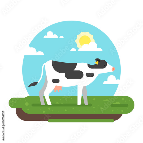  cow graze in a field.