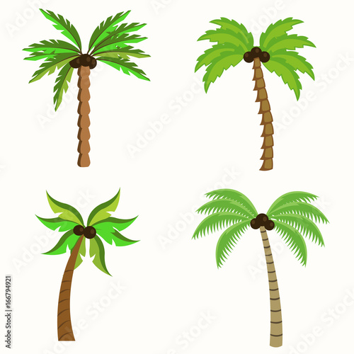 Palm trees