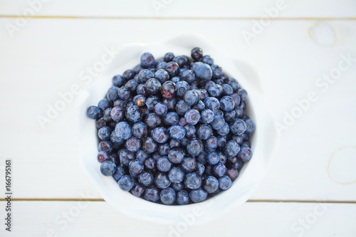 blueberries on a white background summer