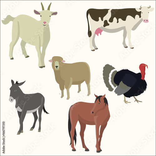 Set of popular colorful animalector
