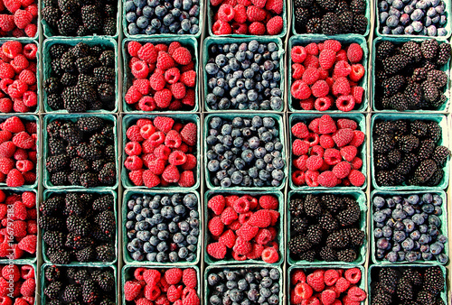 Aerial view of raspberries, bluberries and blackberries in containers © Robin Keefe