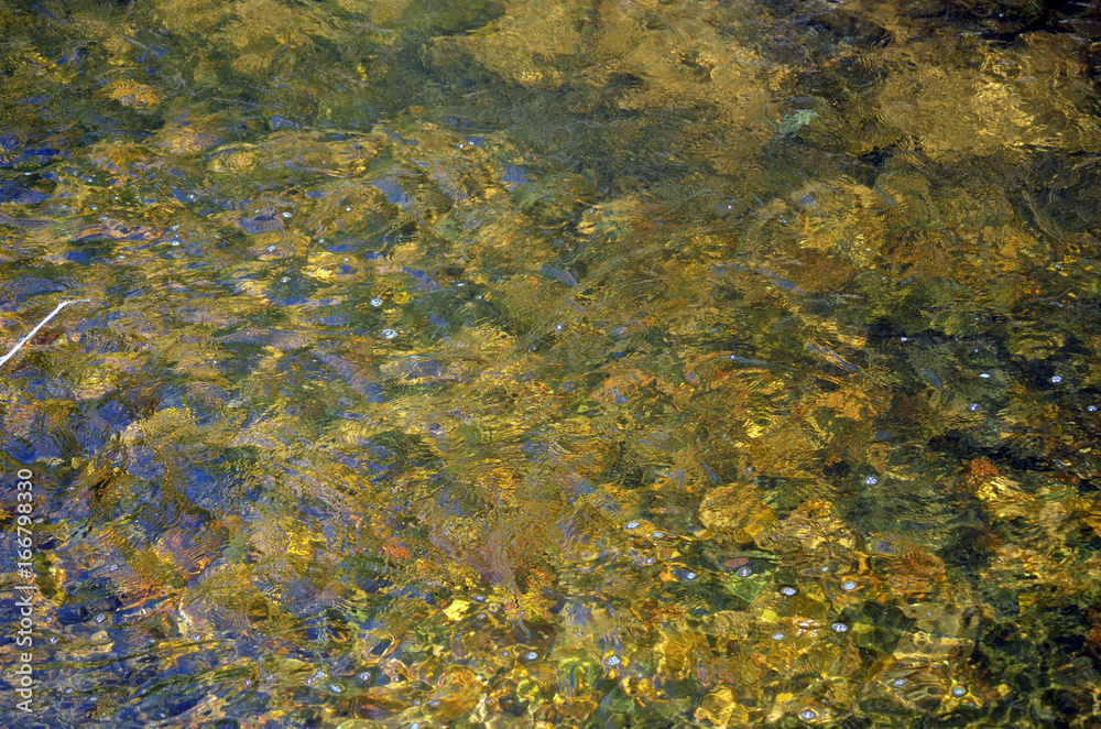 water water