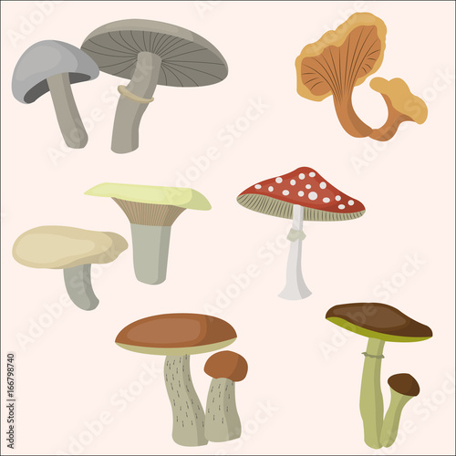 Beautiful mushrooms set. Vector magic unusual nature elements, isolated on white.