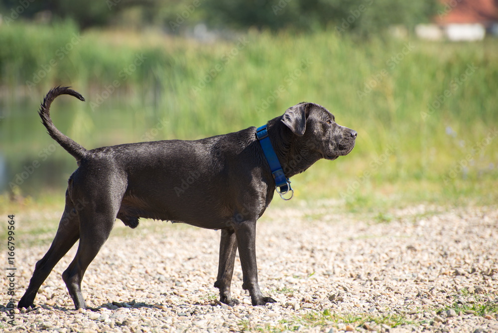 Guarding and protecting