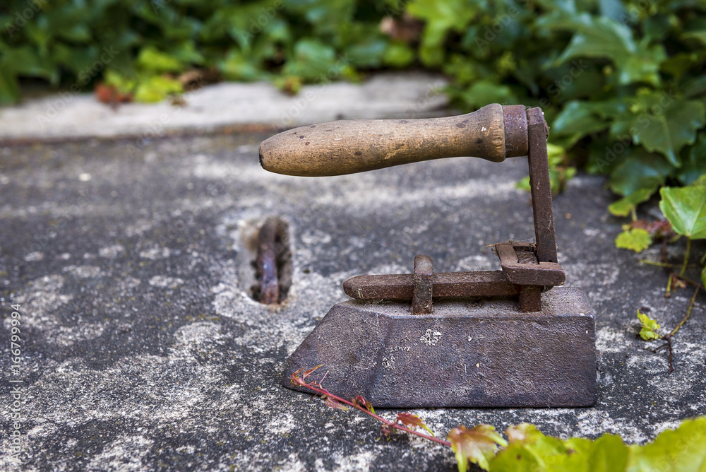 An old rusty iron lost between the ivy An old rusty iron lost between the ivy
