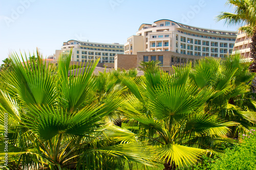 Hotel in tropical palm trees photo