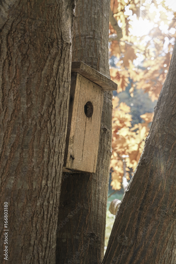 bird house hanged on a tree bird house hanged on a tree