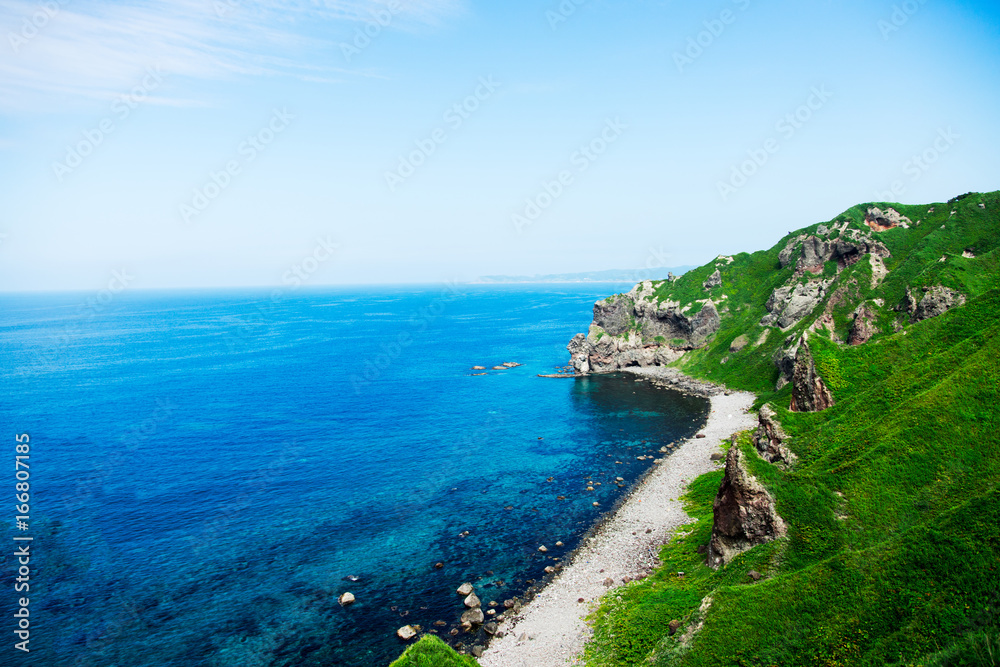 Fototapeta premium syakotan