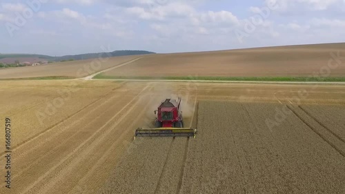 Aerial View of Combine Harvester Gathers the Golden Wheath / 4K UHDV Movie