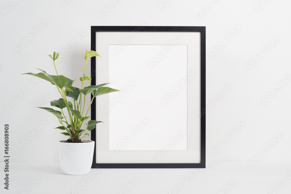 Black picture frame on white background with plant - obrazy, fototapety, plakaty 