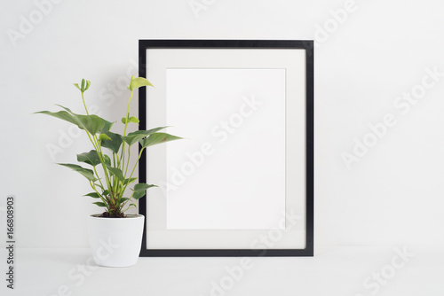 Black picture frame on white background with plant