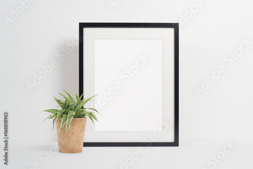Black picture frame on white background with plant