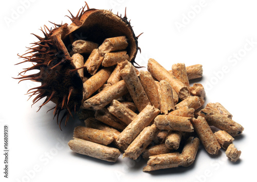 Pellety Pellets de madera Holzpellet Pellas Pellet fuel Legno Pelet 颗粒燃料 madeira 목재 팰릿 Πέλλετ Peleta Lesni Granulé de bois ξύλου Drveni peleti Houtpellets Топливные 木質ペレット гранулы Bränslepellets photo