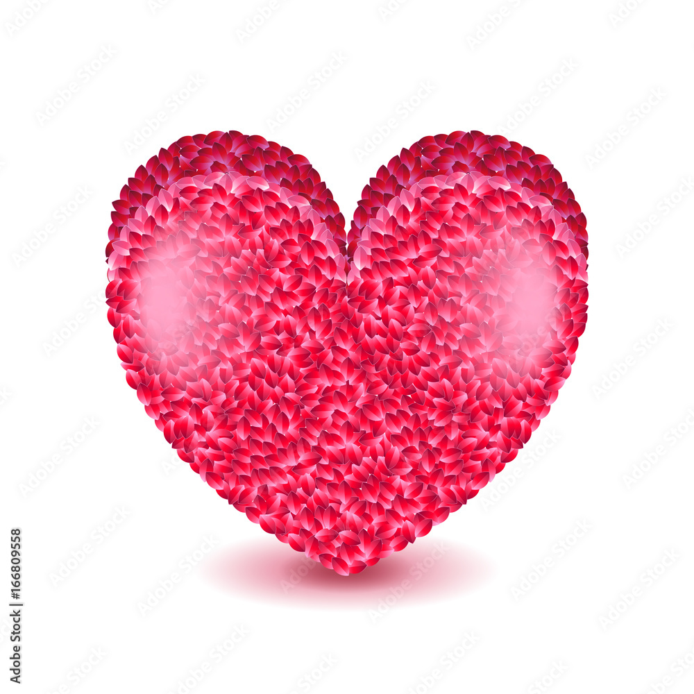 Big pink heart isolated on white vector