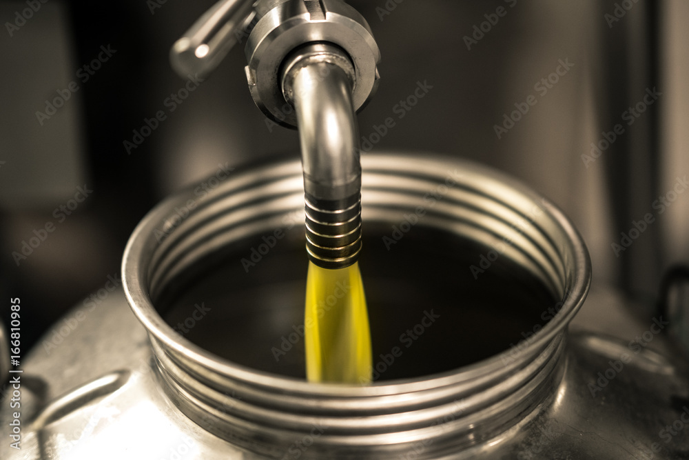 Processing of olive oil in a modern farm. Processing of olive oil in a modern farm.