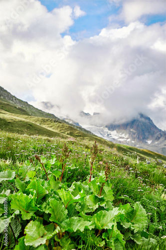 Swiss Alps landscape © Mara Zemgaliete