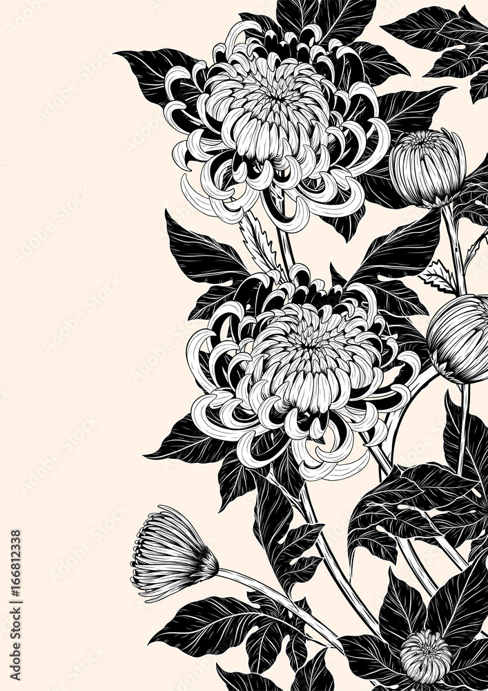 Skull with chrysanthemum tattoo by hand drawing 540029 Vector Art at  Vecteezy
