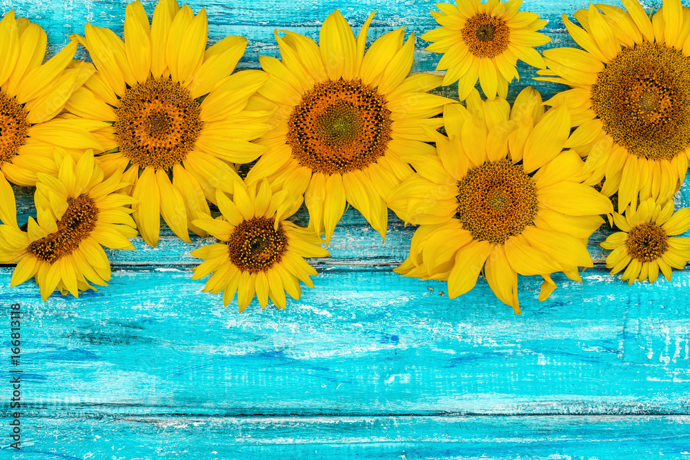 Autumn background with sunflowers on wooden board. Yellow fresh sunflowers on rustic wooden