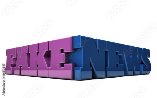 Fake News and the media
