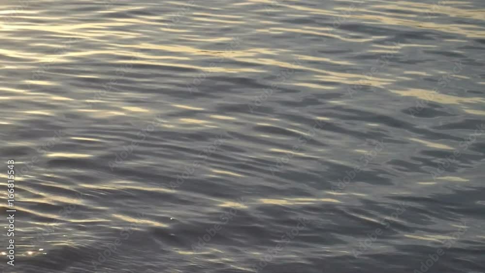 Wild Beach and Seashore at Sunrise with Sun Reflections