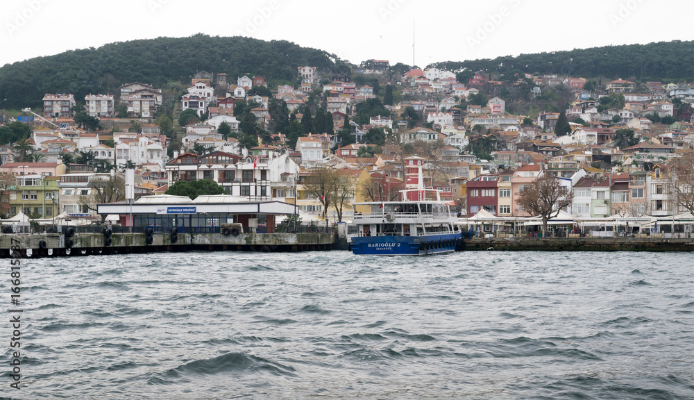 View of Heybeliada island from the sea with summer houses. the island is the second largest one of four islands named Princes' Islands in the Sea of Marmara, near Istanbul, Turkey