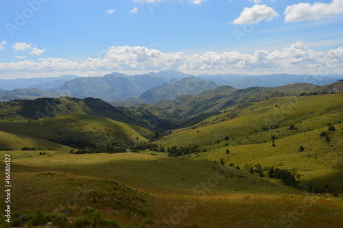 green landscape 