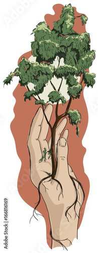 A man's hand is holding a tree. The tree clings to the hand