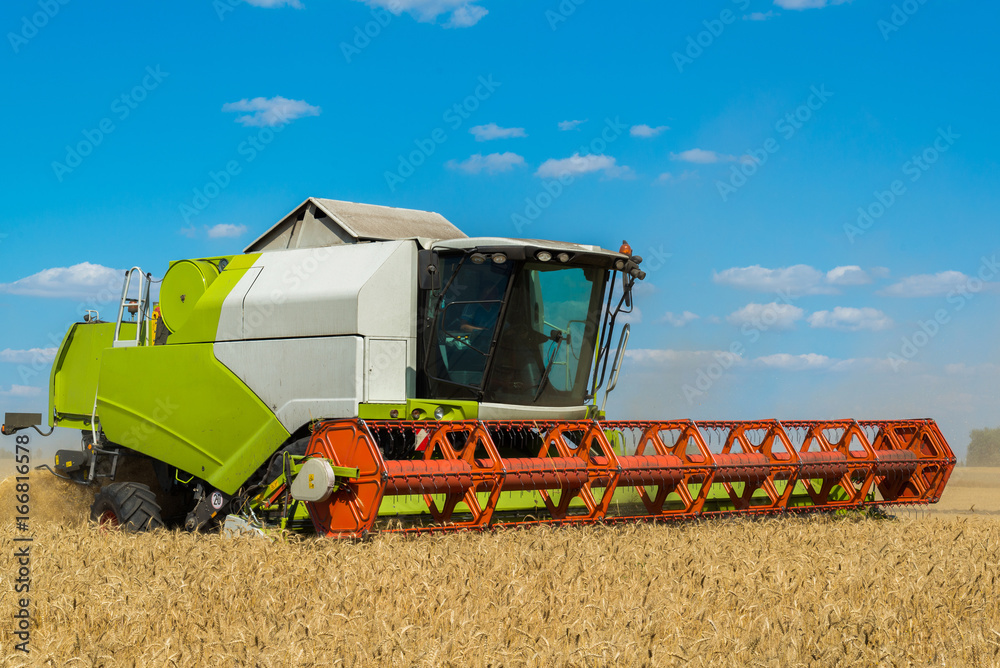 Combine harvester threshes wheat on field, Russia Combine harvester threshes wheat on field, Russia