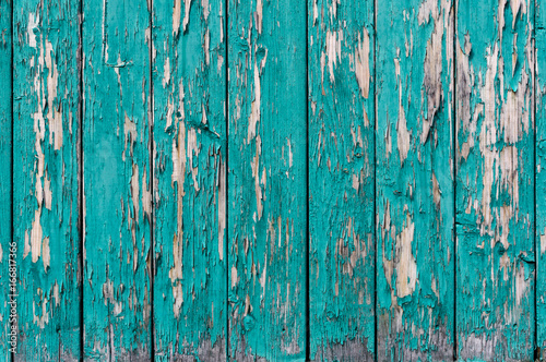 Wood Texture Background with natural pattern © Bohdana