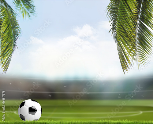 soccer football ball with t...