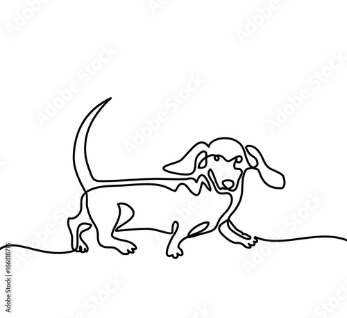 Continuous line drawing. Dog dachshund running. Vector illustration