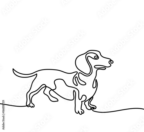 Continuous line drawing. Dog dachshund running. Vector illustration