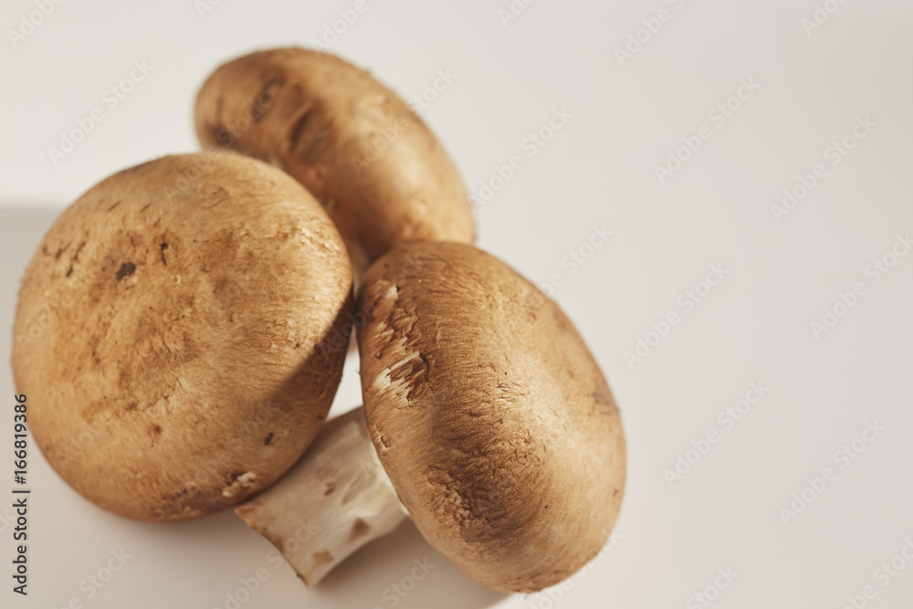 raw, fresh crimini mushrooms from a Pennsylvania farm raw, fresh crimini mushrooms from a Pennsylvania farm