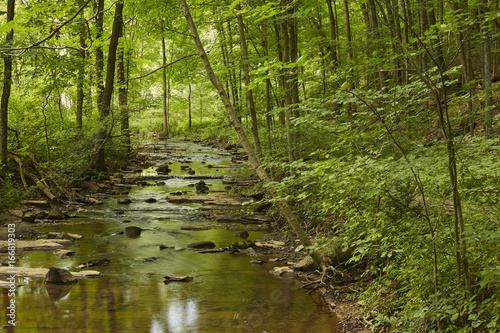 Fototapeta Naklejka Na Ścianę i Meble -  Slippery Rock Creek, McConnell's Mill State Park, Pennsylvania, USA