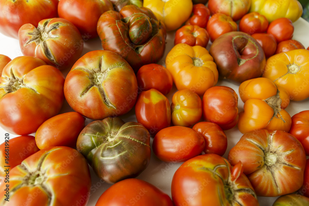 Several different fresh organic tomatoes Several different fresh organic tomatoes