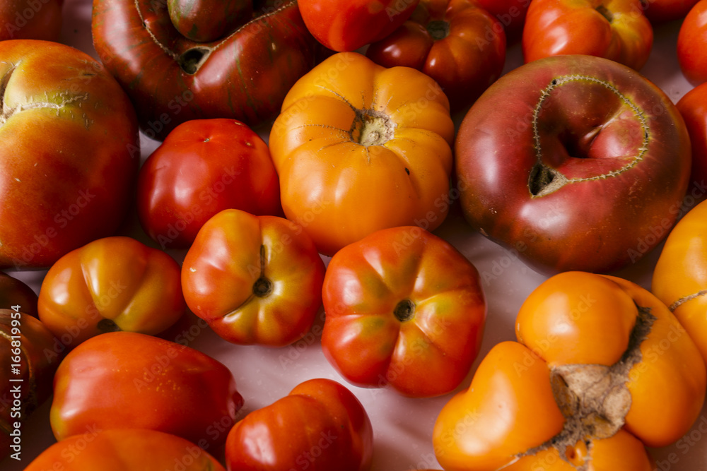 Several different fresh organic tomatoes Several different fresh organic tomatoes