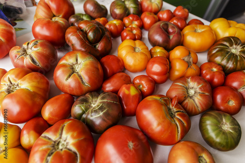 Several different fresh organic tomatoes