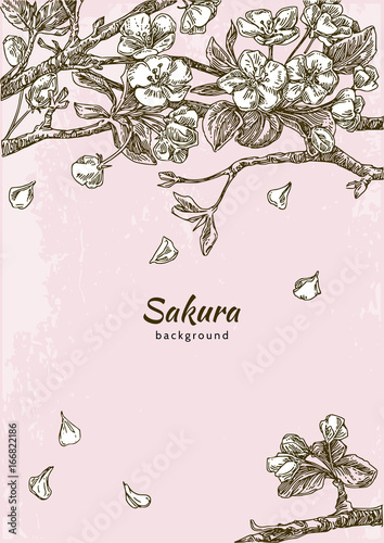 Beautiful romantic background. Branch of sakura. Falling petals of cherry blossoms. Vintage style. Vector illustration. photo