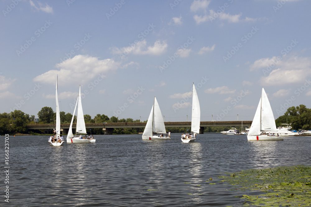 Obraz premium White sailboats on the river