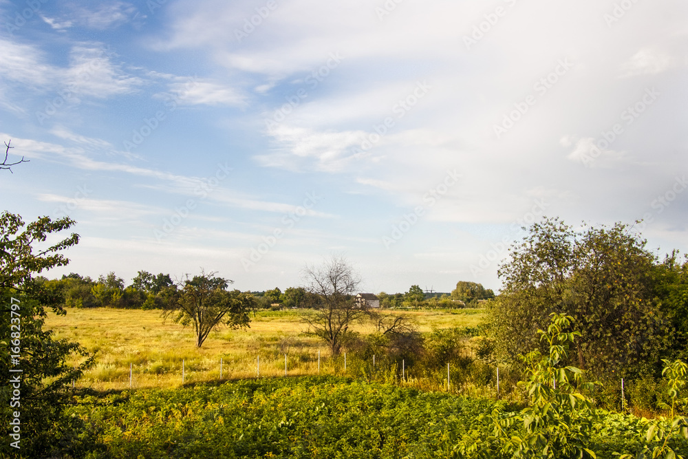 Fototapeta premium Village Ukraine