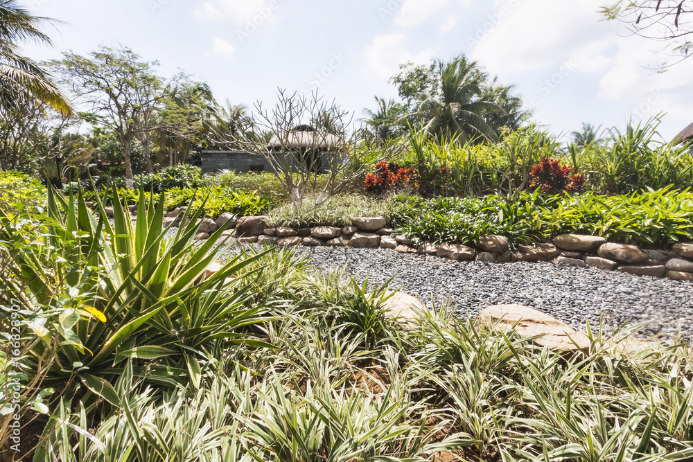 Tropical vegetation with gravel path Tropical vegetation with gravel path