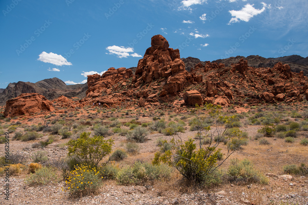 Fototapeta premium Aztec Sandstone Rock Formation in Valley of Fire State Park