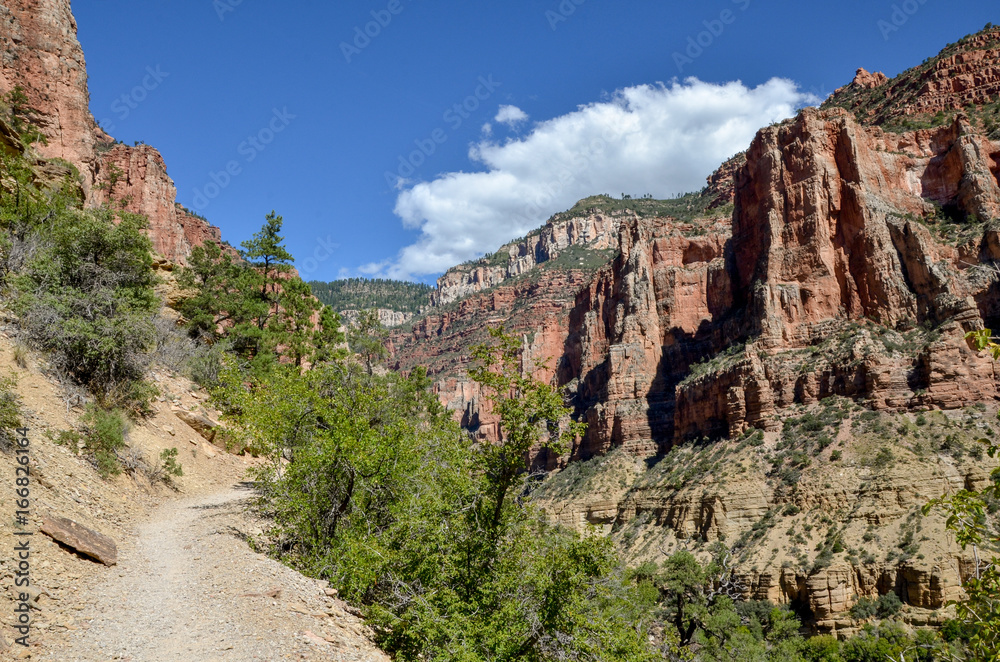 narrow North Kaibab trail on the steep slope of Roaring Spring Canyon
North Rim, Grand Canyon National Park, Arizona, USA 