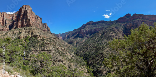 panoramic view of Roaring Springs Canyon meeting Bright Angel Canyon from North Kaibab trail North Rim, Grand Canyon National Park, Arizona, USA 