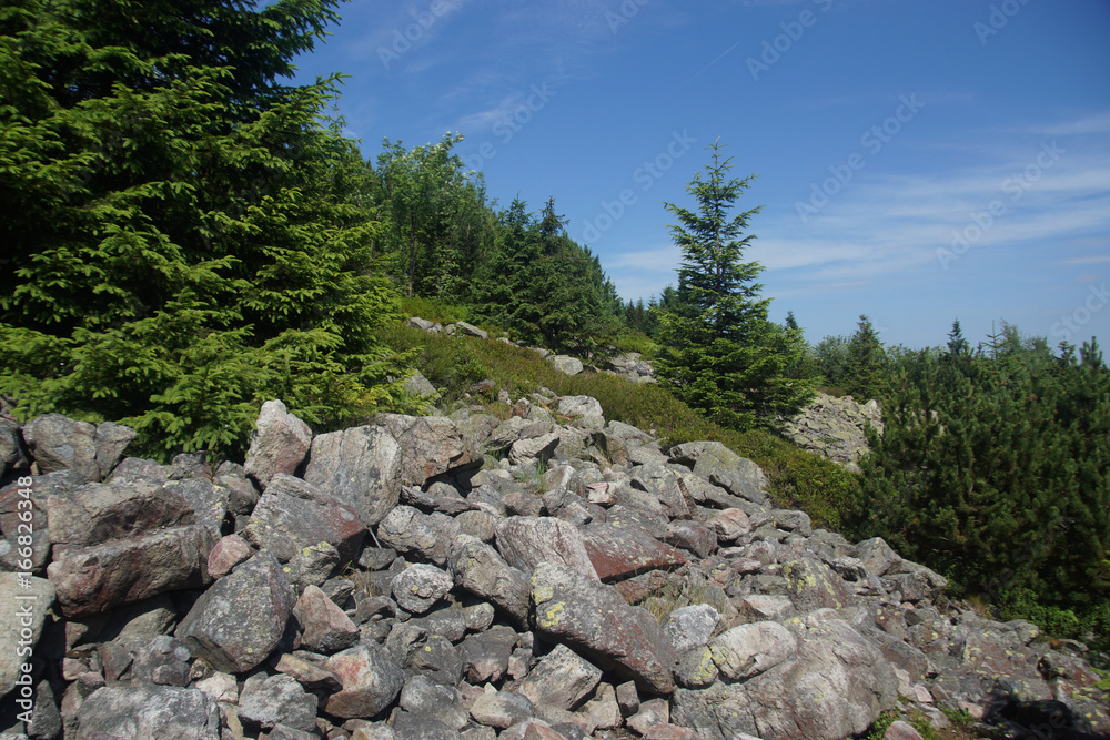 Blockfeld am Kahleberg
Osterzgebirge Blockfeld am Kahleberg
Osterzgebirge