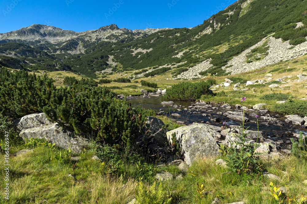 Landscape with clear water of Mountain river, Pirin Mountain, Bulgaria